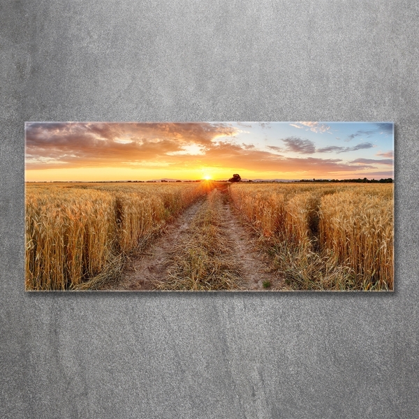 Quadro su vetro Campo di grano