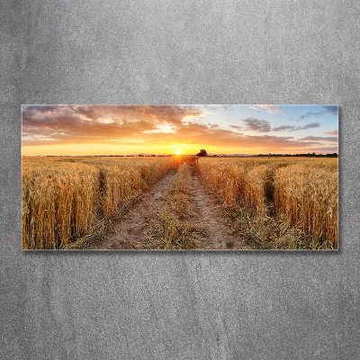 Quadro su vetro Campo di grano