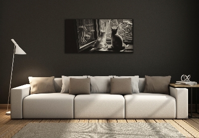 Quadro su vetro Gatti alla finestra