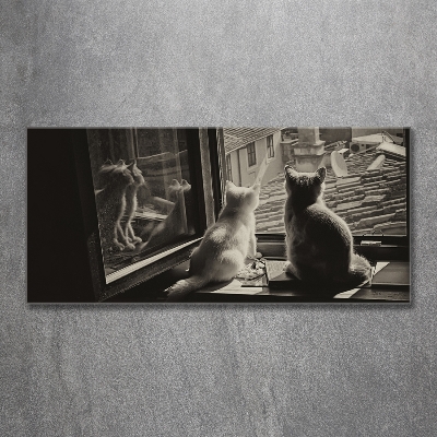 Quadro su vetro Gatti alla finestra