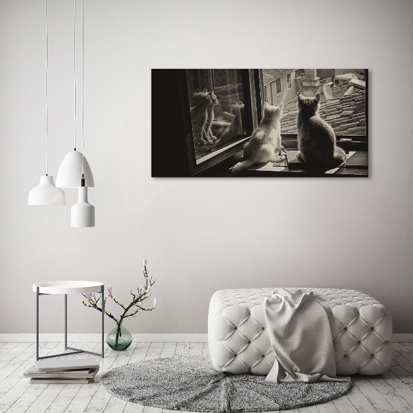 Quadro su vetro Gatti alla finestra