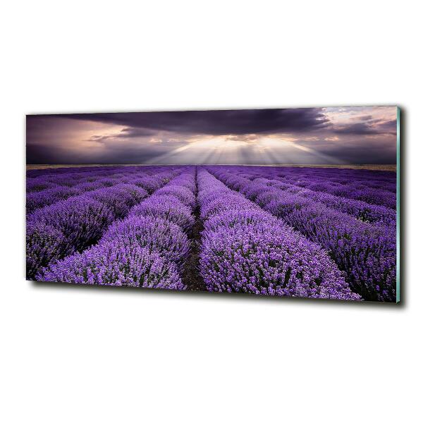 Quadro vetro Campo di lavanda