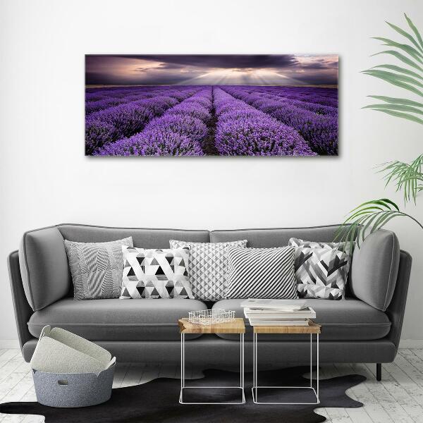 Quadro vetro Campo di lavanda