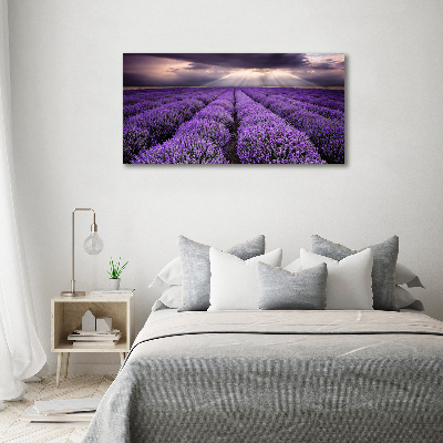 Quadro vetro Campo di lavanda