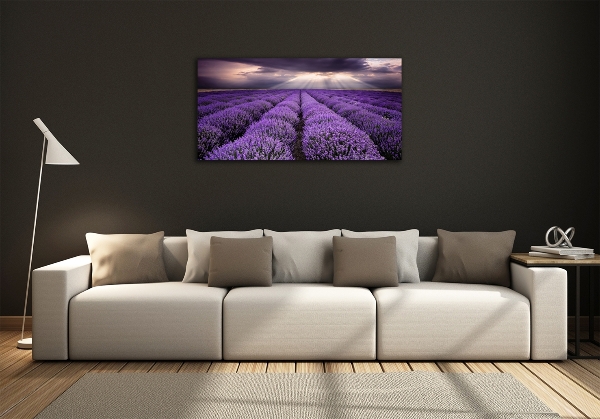 Quadro vetro Campo di lavanda