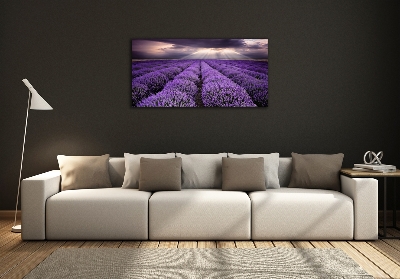 Quadro vetro Campo di lavanda