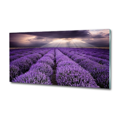 Quadro vetro Campo di lavanda