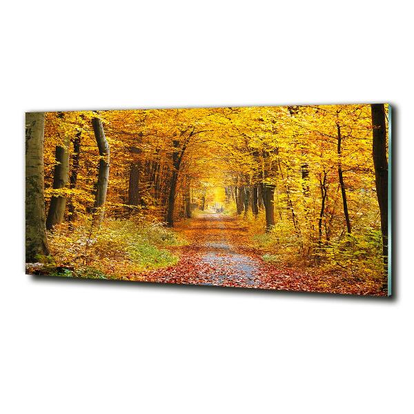 Quadro in vetro Foresta in autunno