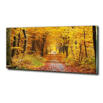 Quadro in vetro Foresta in autunno