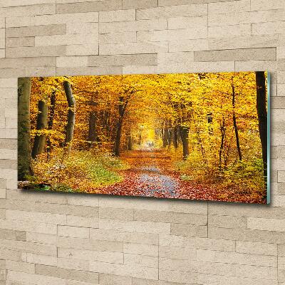 Quadro in vetro Foresta in autunno