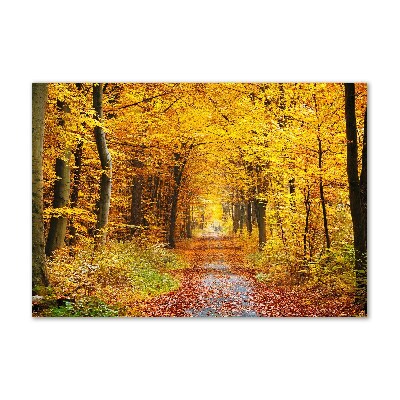 Quadro in vetro Foresta in autunno