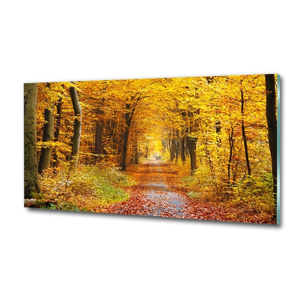 Quadro in vetro Foresta in autunno