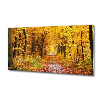 Quadro in vetro Foresta in autunno