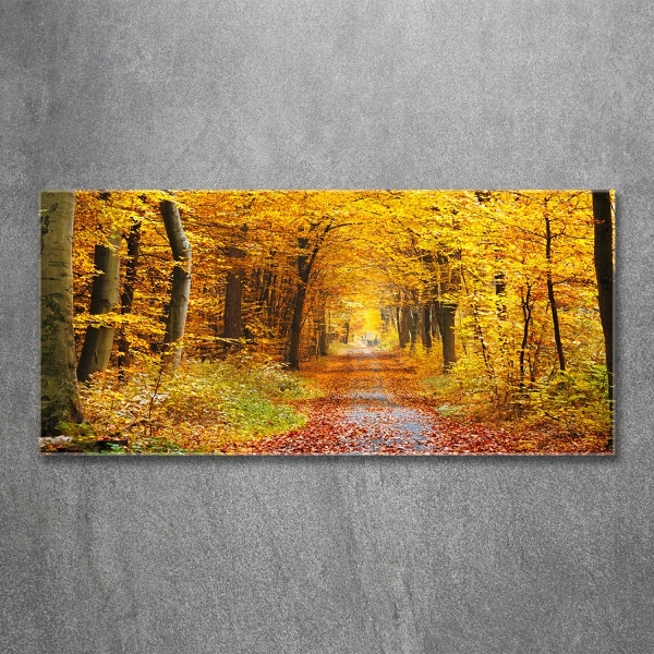 Quadro in vetro Foresta in autunno