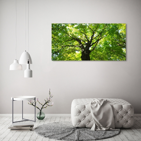 Quadro in vetro Foresta verde