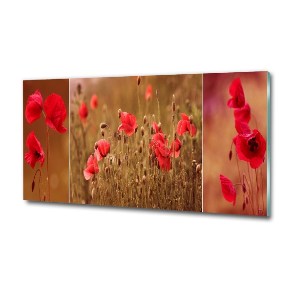 Quadro in verde Trittico dei papaveri