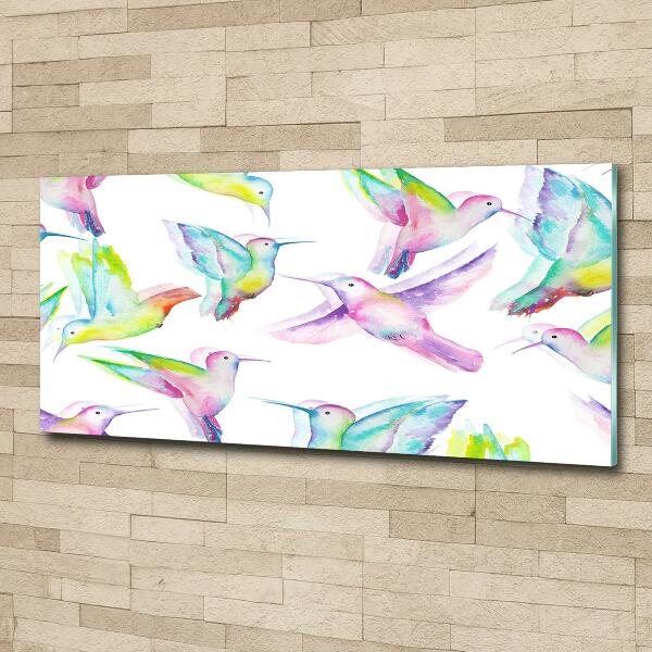 Quadro vetro Colibrì