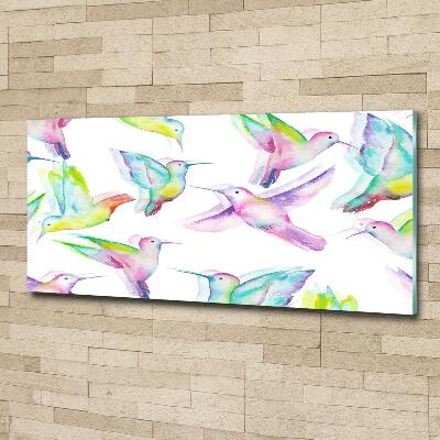 Quadro vetro Colibrì