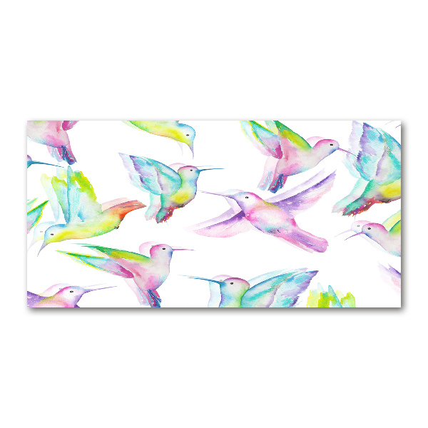 Quadro vetro Colibrì