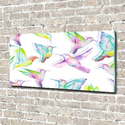 Quadro vetro Colibrì