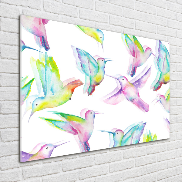 Quadro vetro Colibrì