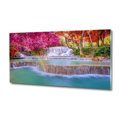 Quadro vetro Cascata nella foresta