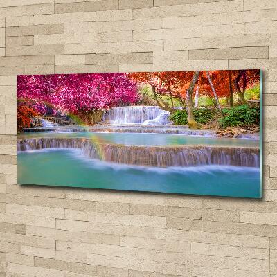 Quadro vetro Cascata nella foresta