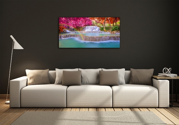 Quadro vetro Cascata nella foresta