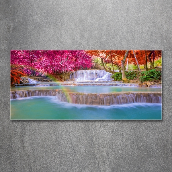 Quadro vetro Cascata nella foresta