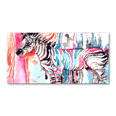 Quadro su vetro Zebra colorata