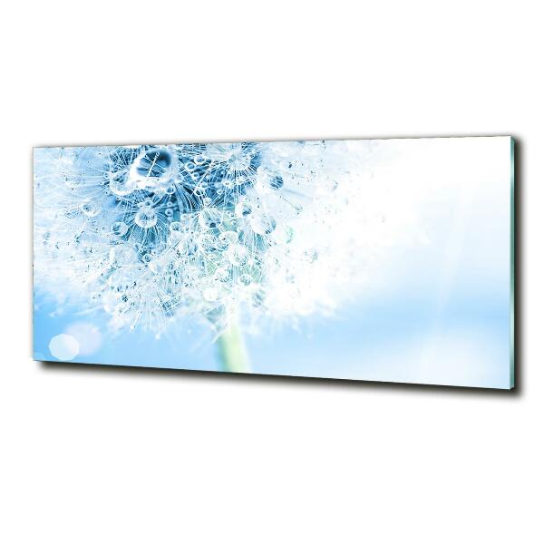 Quadro vetro Dente di leone