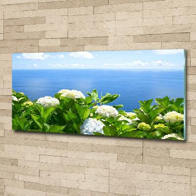 Quadro vetro Fiori in riva al mare