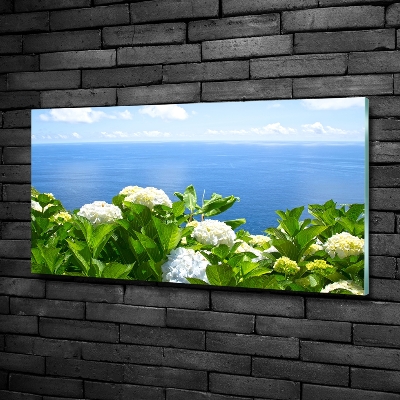 Quadro vetro Fiori in riva al mare