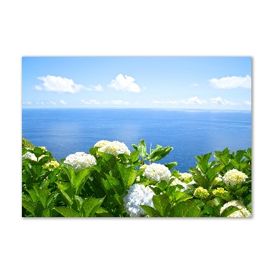 Quadro vetro Fiori in riva al mare
