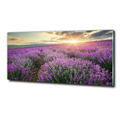 Quadro su vetro Campo di lavanda