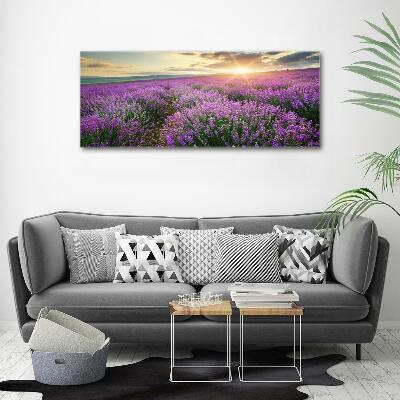 Quadro su vetro Campo di lavanda