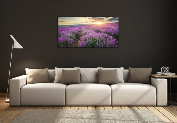Quadro su vetro Campo di lavanda