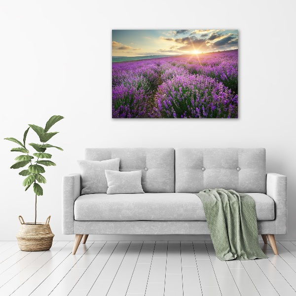 Quadro su vetro Campo di lavanda