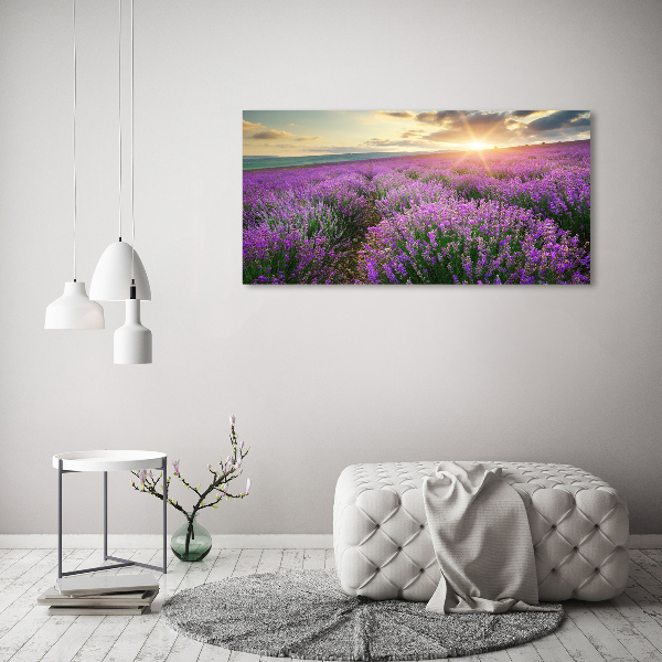 Quadro su vetro Campo di lavanda