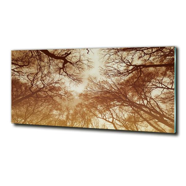 Quadro vetro Foresta