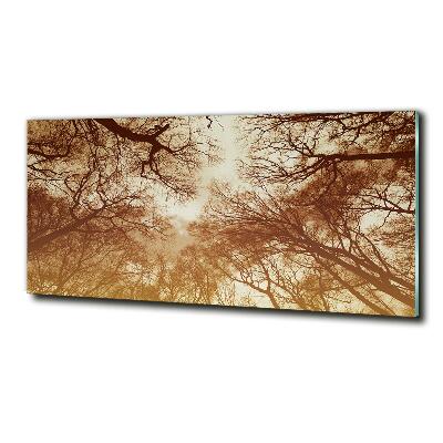 Quadro vetro Foresta