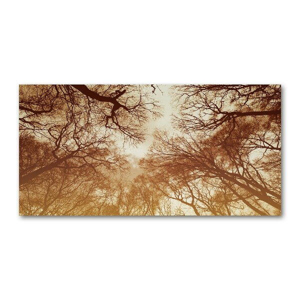 Quadro vetro Foresta