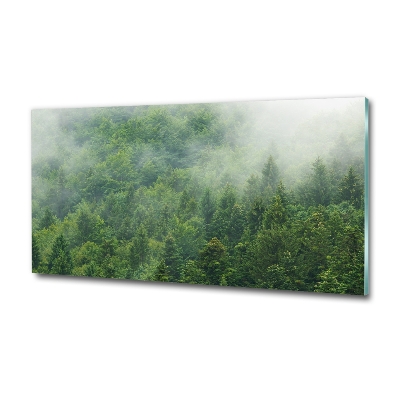 Quadro su vetro Foresta misteriosa