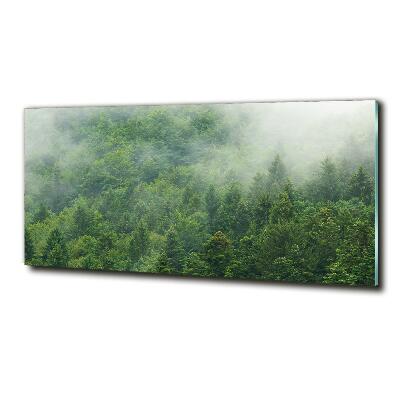 Quadro su vetro Foresta misteriosa