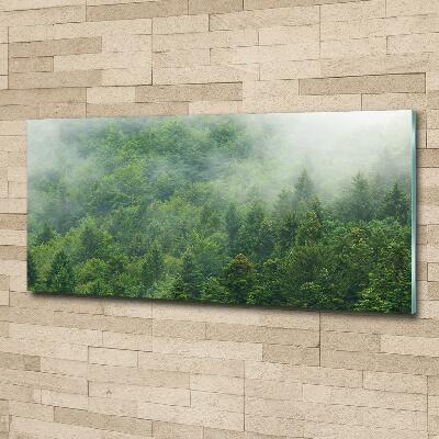 Quadro su vetro Foresta misteriosa