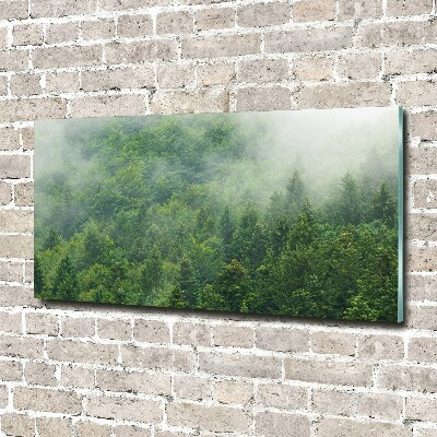 Quadro su vetro Foresta misteriosa