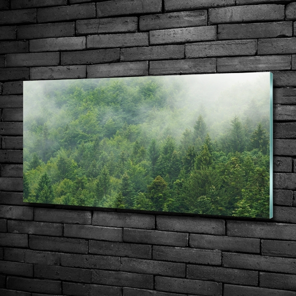Quadro su vetro Foresta misteriosa
