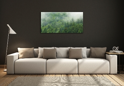 Quadro su vetro Foresta misteriosa