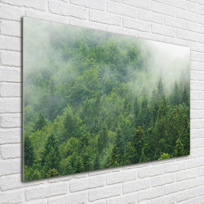 Quadro su vetro Foresta misteriosa
