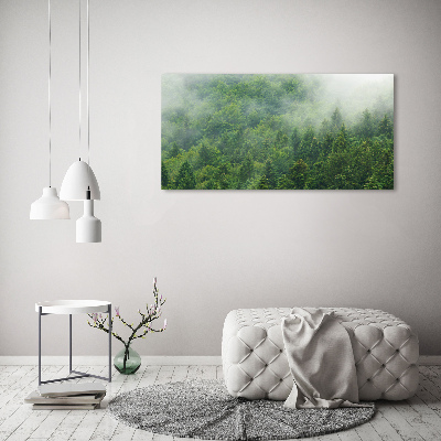 Quadro su vetro Foresta misteriosa